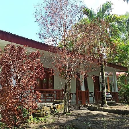 Tangkoko Jungle Homestay Rinondoran Zewnętrze zdjęcie