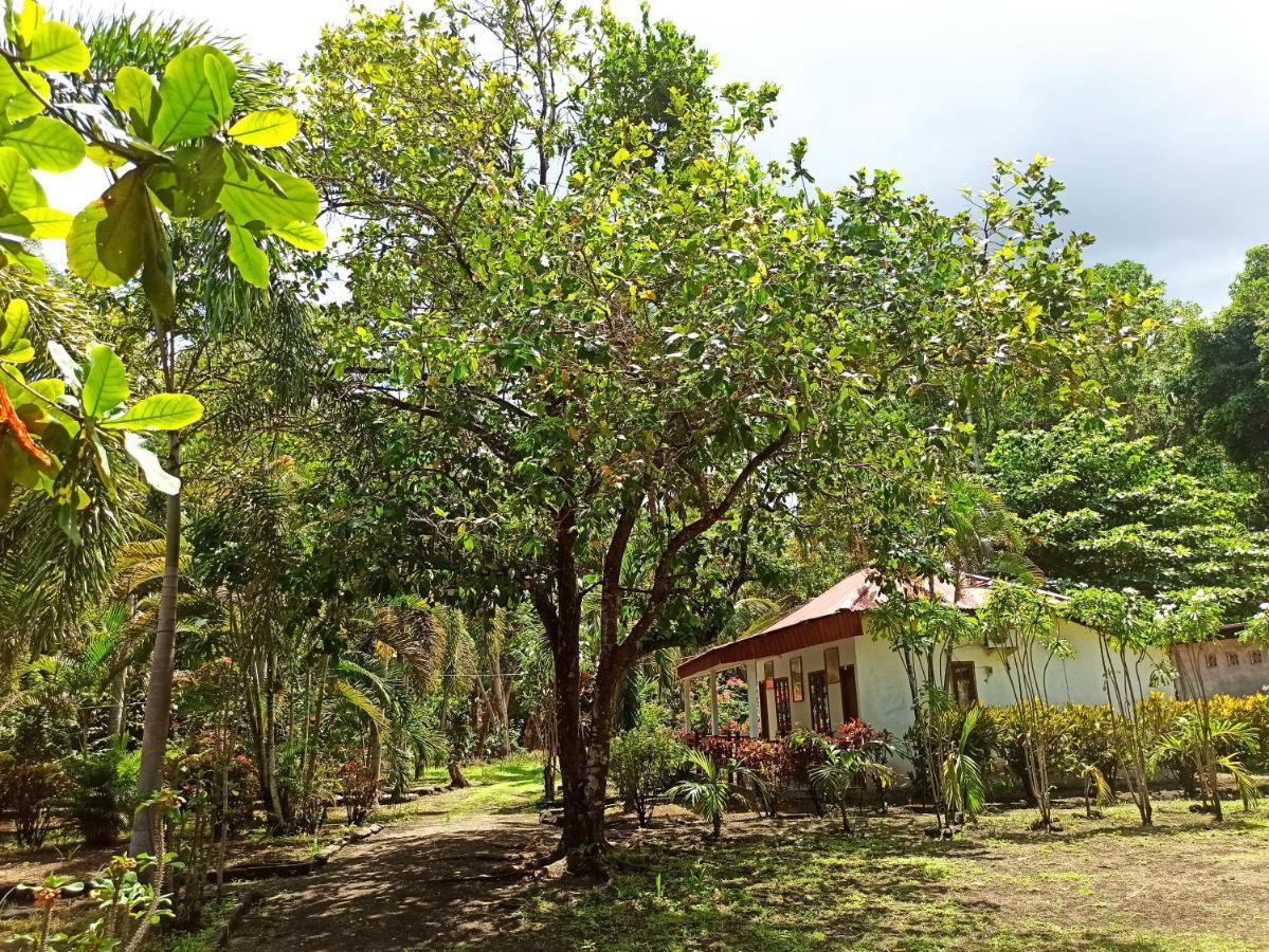 Tangkoko Jungle Homestay Rinondoran Zewnętrze zdjęcie