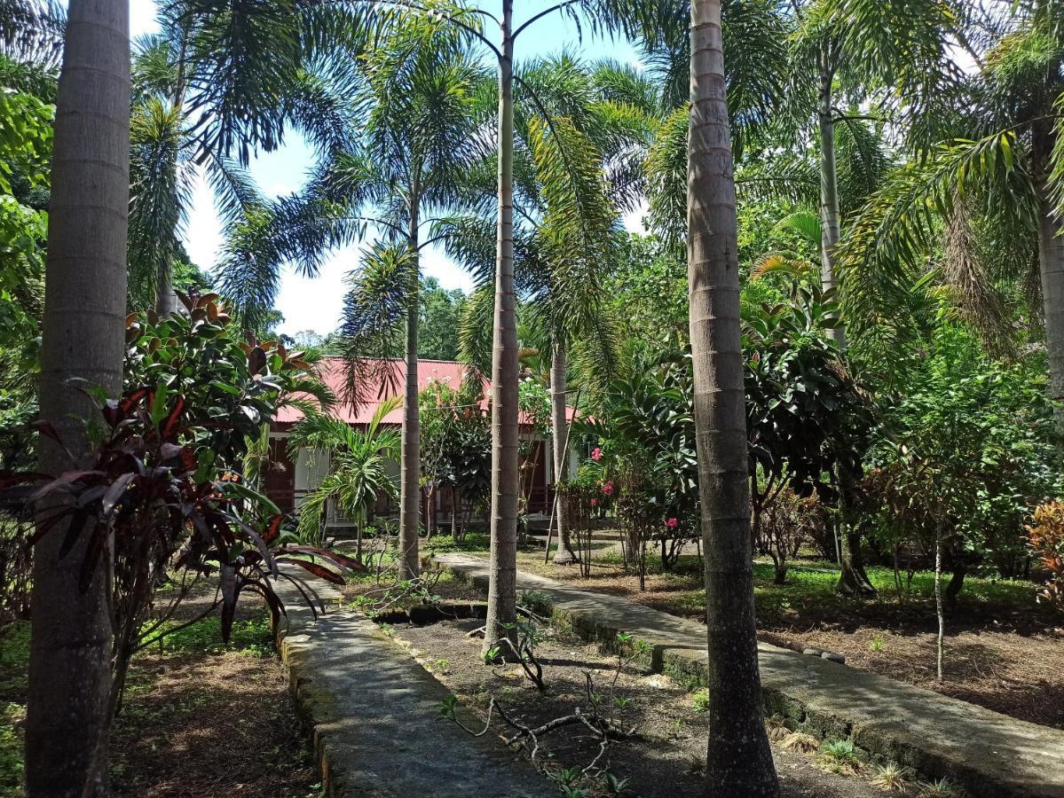 Tangkoko Jungle Homestay Rinondoran Zewnętrze zdjęcie